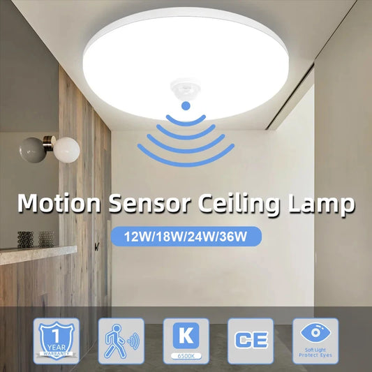 Household Ceiling Light 12W 18W 24W 36W white light Voice control Human body LED Corridor Staircase Intelligent sensor light